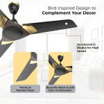 Polycab Aereo Plus Star Rated, 1200mm Ceiling Fan For Home | 100% Copper, High Speed & Air Delivery | Saves Up To 33% Electricity, Rust-Proof Aluminiu