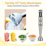 16044 Hand Blender Stainless Steel