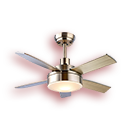 Electric Fans